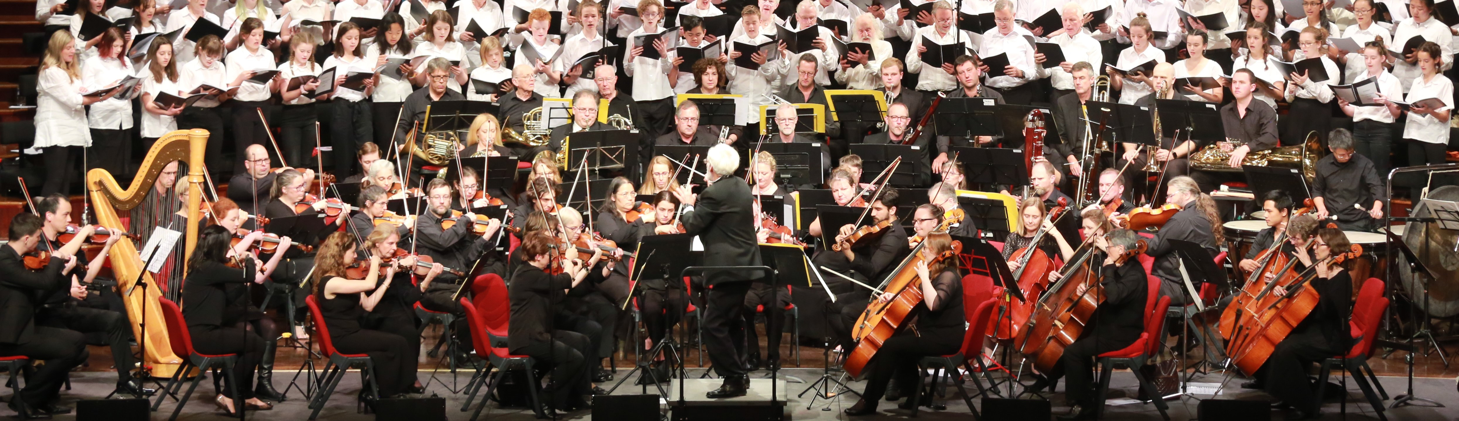 The Occasional Performing Sinfonia